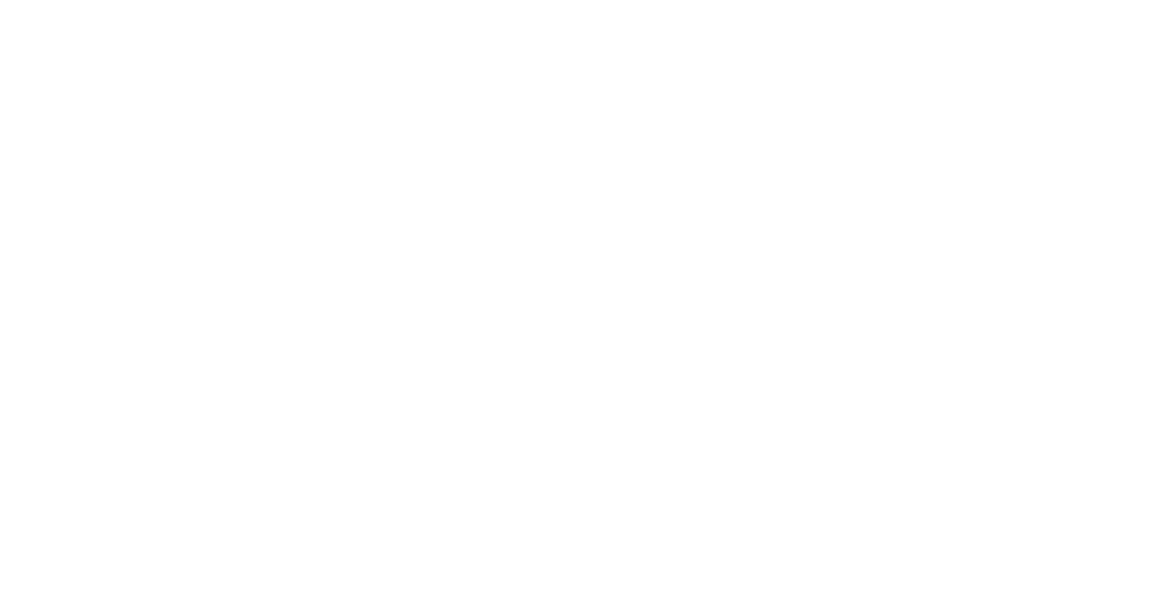 Dicks Logo white