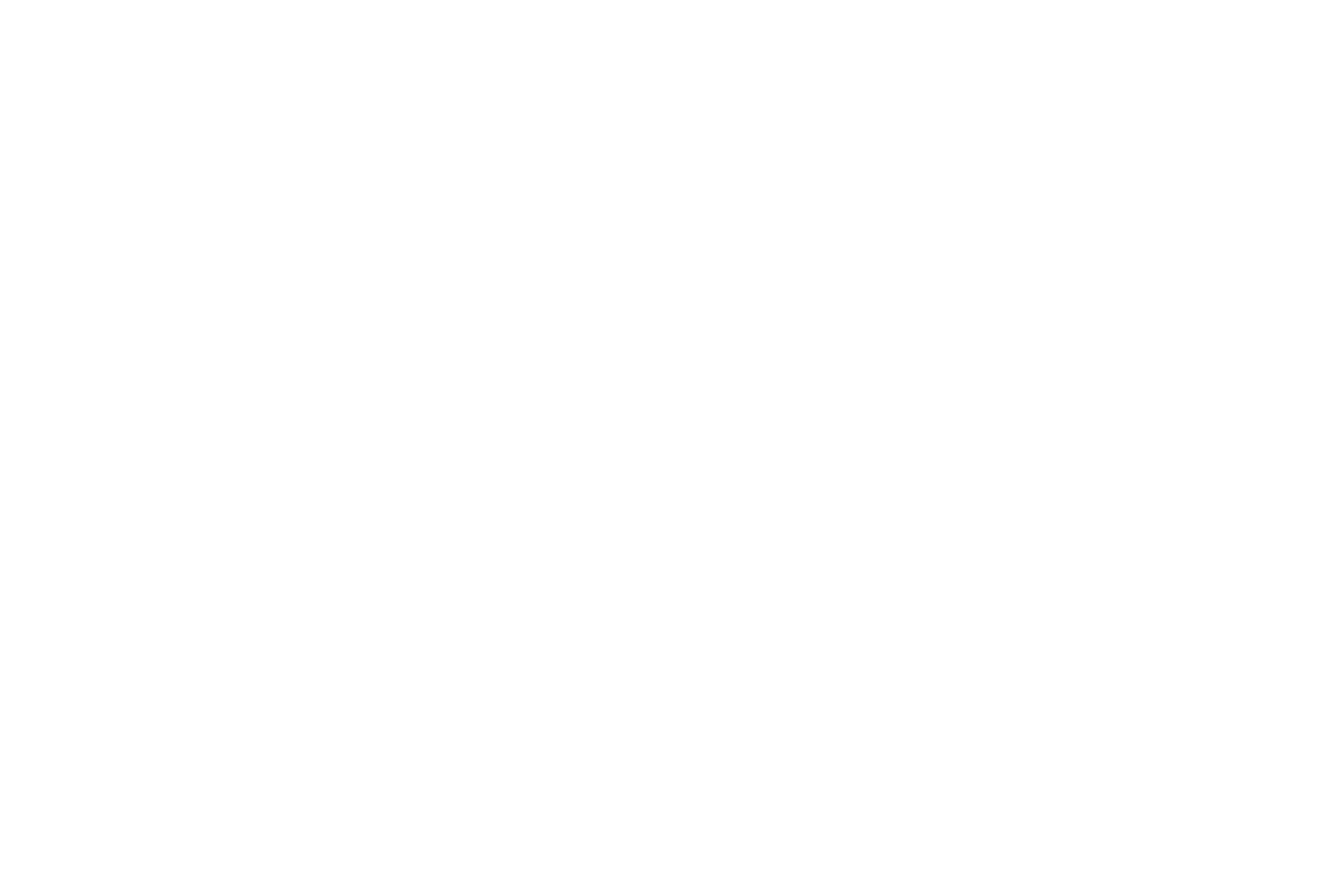 auto zone logo white